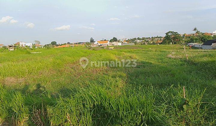 Hot Listing, Villa Environmental Land for Sale in Berawa Location  1