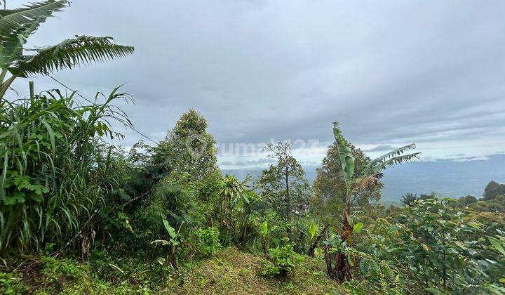 Dijual Tanah View Gunung Laut Dan Sunset di Gobleg Buleleng 2