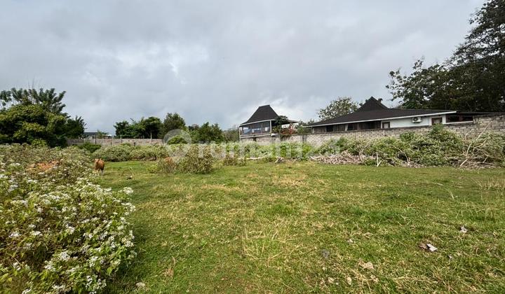 Dijual 5 Unit Tanah Kavling Lokasi Kutuh Bali