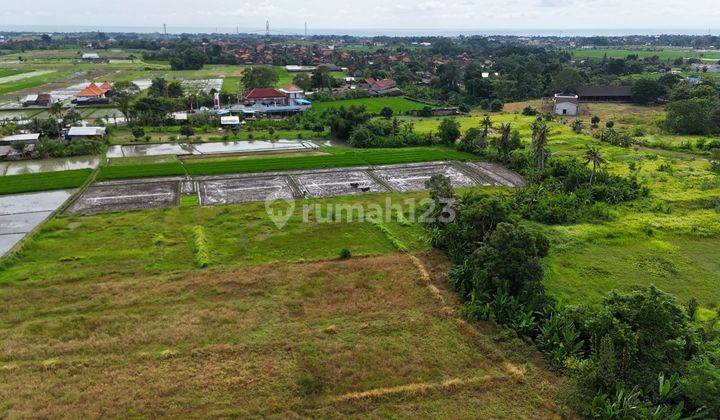 Dijual Tanah Los Sungai, View Sawah di Area Tanah Lot Tabanan 2