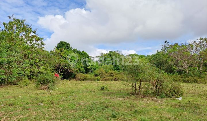 DIJUAL CEPAT TANAH DEKAT KAMPUS UNUD JIMBARAN