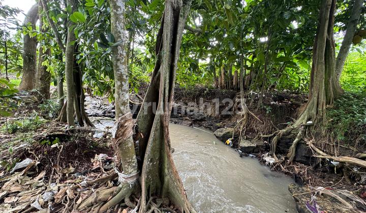 Dijual Tanah Los Sungai View Sawah di Area Tanah Lot Tabanan Dijual Tanah Los Sungai View Sawah di Area Tanah Lot Tabanan