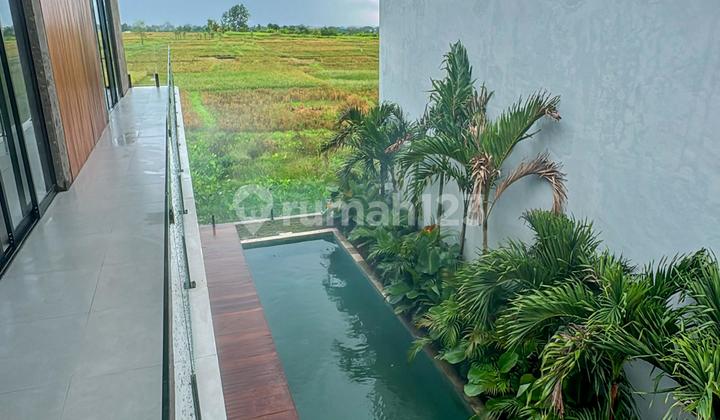 Brand New Contemporary Villa Design with Ricefield View