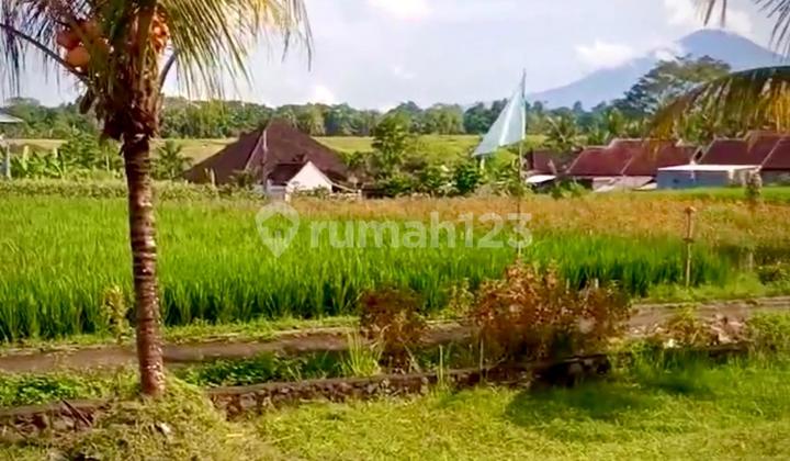 Dijual/Disewakan Tanah View Sawah dan Gunung di Tabanan Dijual/Disewakan Tanah View Sawah dan Gunung di Tabanan