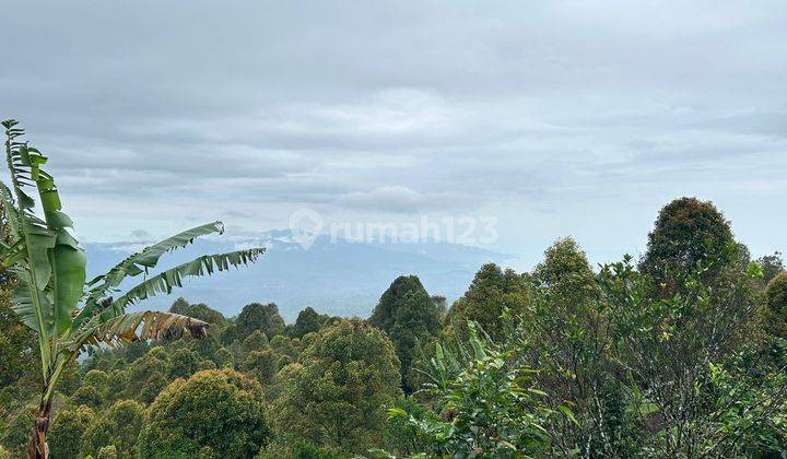 Dijual Tanah View Gunung Laut Dan Sunset di Gobleg Buleleng 1