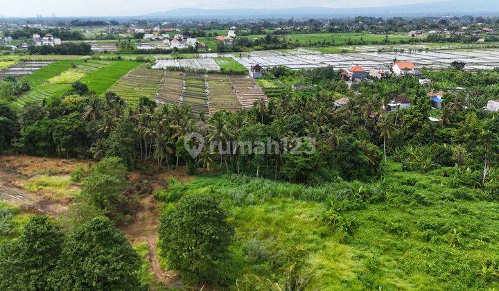 Dijual Tanah Los Sungai, View Sawah di Area Tanah Lot Tabanan 1