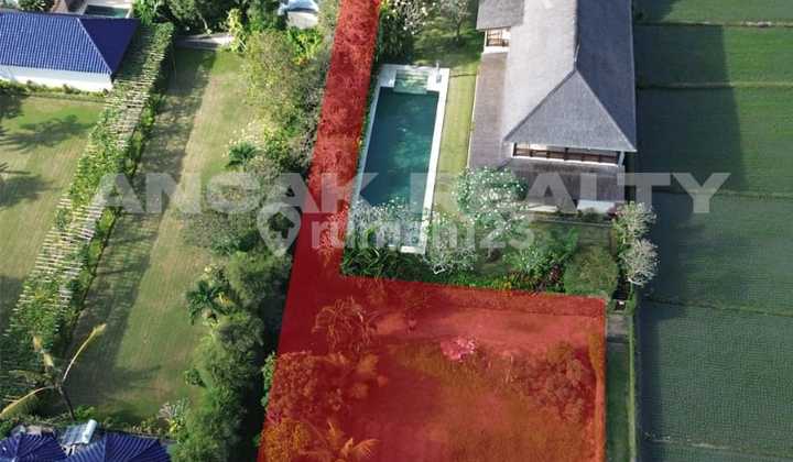 DIJUAL TANAH BEACHFRONT PANTAI PASUT DIJUAL TANAH BEACHFRONT PANTAI PASUT