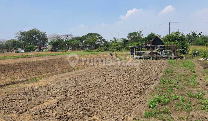 Jual Cepat tanah/lahan di pinggir jalan Kedaung Babelan Bekasi Jual Cepat tanah/lahan di pinggir jalan Kedaung Babelan Bekasi