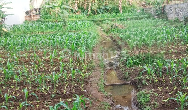 Kavling Ciwaruga Gegerkalong Dekat Kampus Polban Bandung Utara 