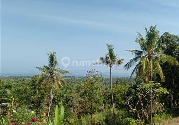 Dijual Tanah Dgn View Indah Pantai Lovina Di Kaliasem Singaraja 5
