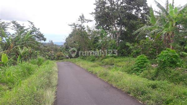 Dijual Tanah Cocok Untuk Villa Di Kawasan Wanagiri Sukasada Buleleng 1