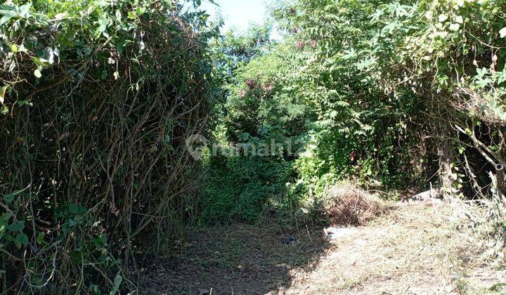Dijual Tanah Lokasi Di Daerah Bay Pass Ngurah Rai Sanur  1