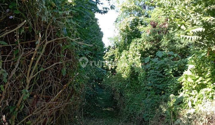 Dijual Tanah Lokasi Di Daerah Bay Pass Ngurah Rai Sanur  2