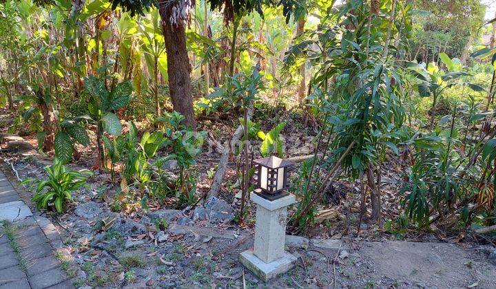 Land For Rent In Sanur Area Bali 1