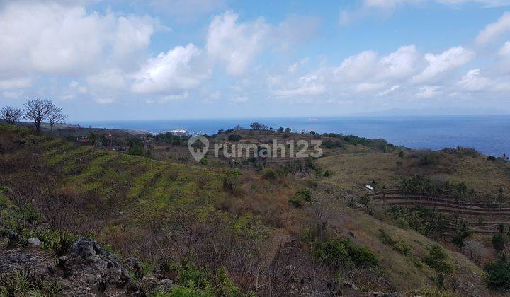 Land for Sale in Panjaban Area, Nusa Penida, Bali 1