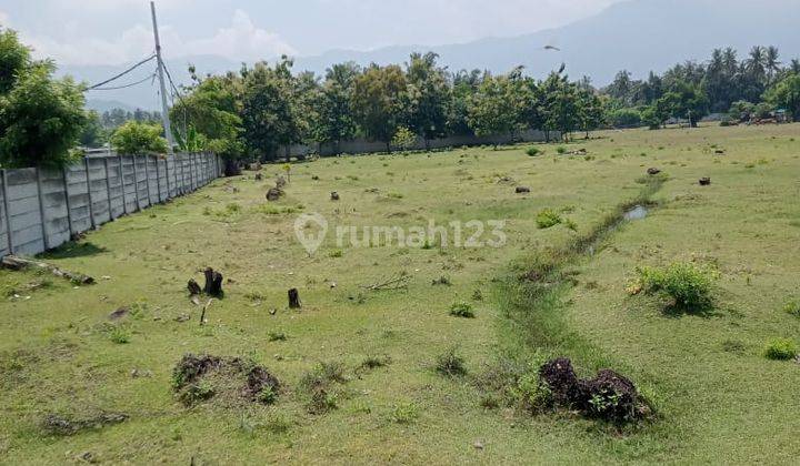 Dijual Tanah Untuk Tambak Udang Di Daerah Singaraja 1