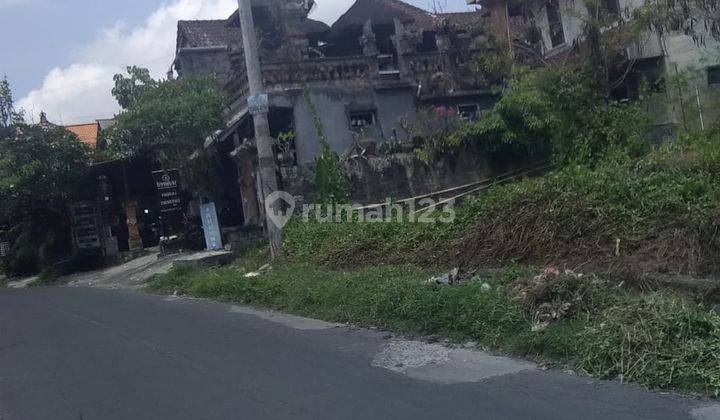 Dijual Tanah Lokasi Strategis Di Daerah Ubud Bali 2