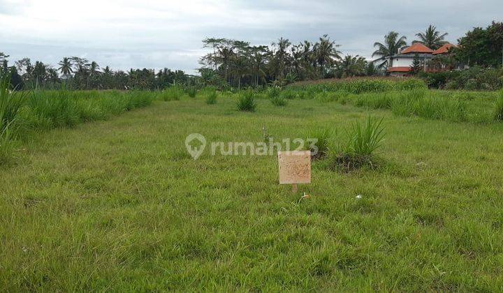 Land for sale Ubud Gianyar Bali 2