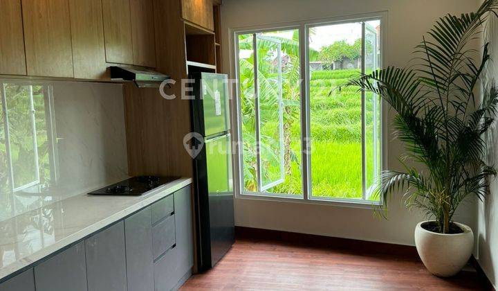 Dijual Villa Modern Minimalis View Sawah Di Area Canggu Bali 2