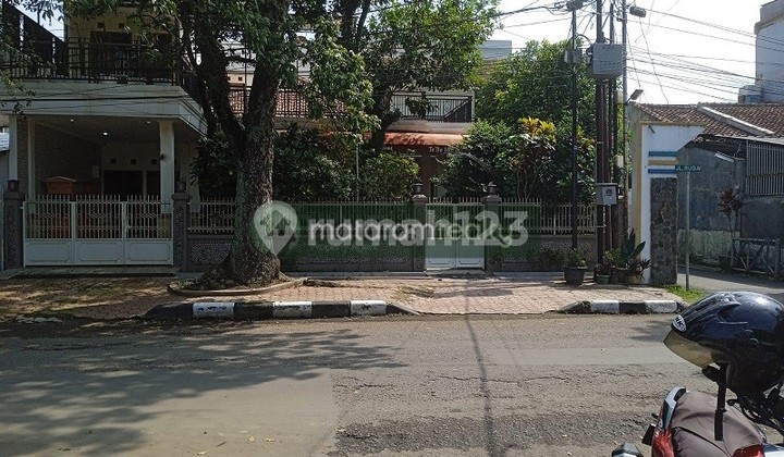 Newly Renovated House Price Drop, Aesthetic Green Central City Area 2