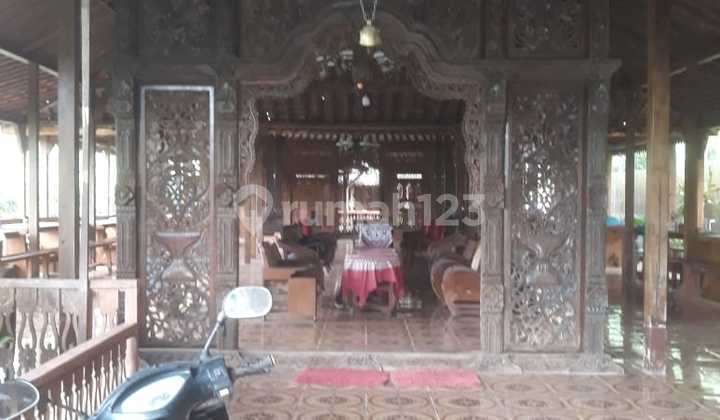 Mr 66343 For Rent Spacious House in Pakem Sleman - Ag 2