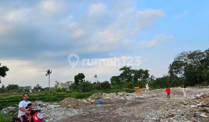 FOR RENT: LARGE LAND IN SARIHARJO NGGALIK SLEMAN MR/066103 AG