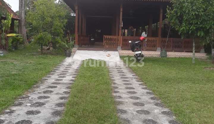 Mr 66343 For Rent Spacious House in Pakem Sleman - Ag