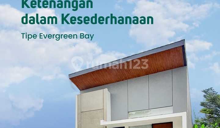 Forest Cerme Evergreen Bay