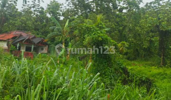 Tanah Di Parung Panjang, Bogor Jawa Barat Tanah Di Parung Panjang, Bogor Jawa Barat
