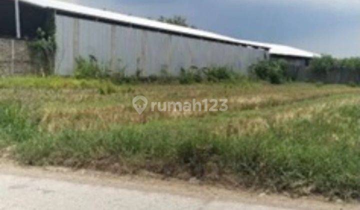 Tanah industri di Kalitengah karangawen dijual murah saja 1