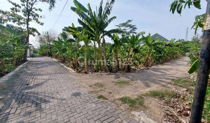 Rumah Ready Di Tlogomulyo Semarang Timur Pedurungan 2