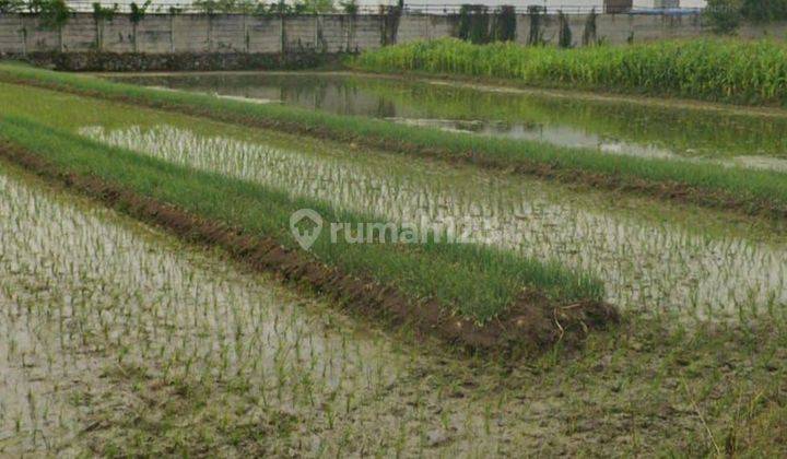 Tanah industri di Kalitengah karangawen dijual murah saja 2