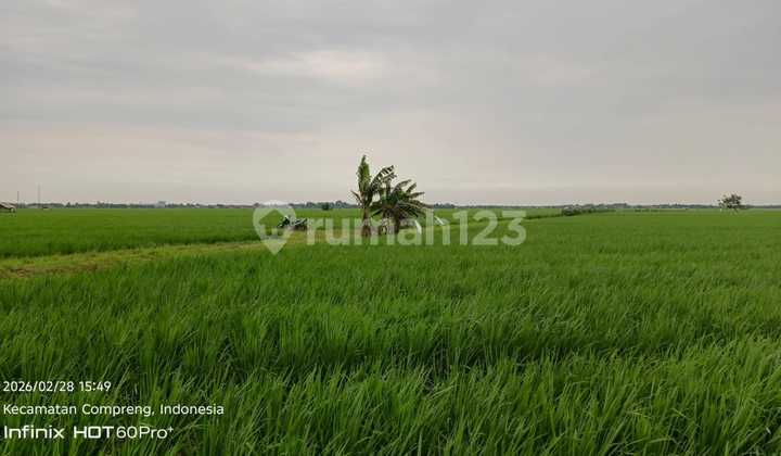 Land for Sale in Sukatani Village, Subang, West Java