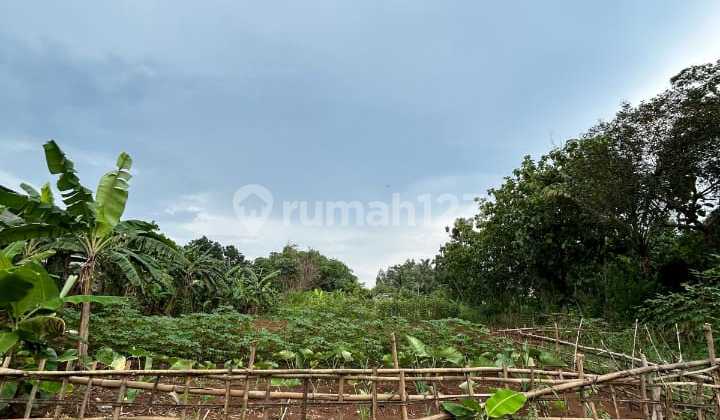 Dijual Tanah di Jl Raya H.M Kadir, Cisauk, Serpong Dijual Tanah di Jl Raya H.M Kadir, Cisauk, Serpong