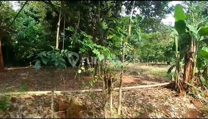 For Sale 5 Hectares of Land in Ciruluk Village, Subang