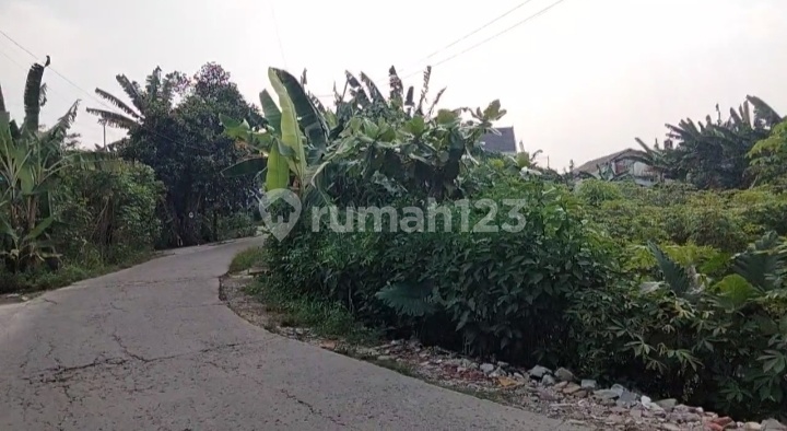 Tanah Strategis Di Cinangka Cocok Dibangun Perumahan Townhouse Tanah Strategis Di Cinangka Cocok Dibangun Perumahan Townhouse