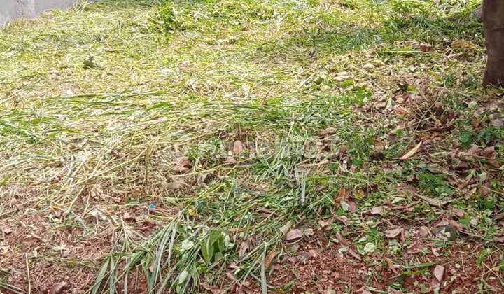 Land in Purilaguna Cimanggis Complex, Hook Position