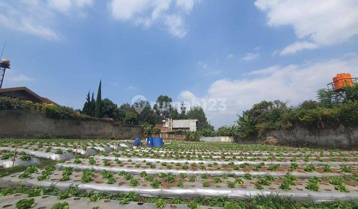 Tanah Lokasi Strategis di Jayagiri Lembang 2