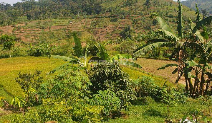 Tanah Tempat Usaha di Padalarang Saguling Strategis 2