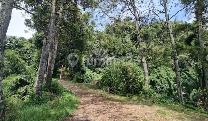 tanah lokasi strategis di lembang dekat eldorado