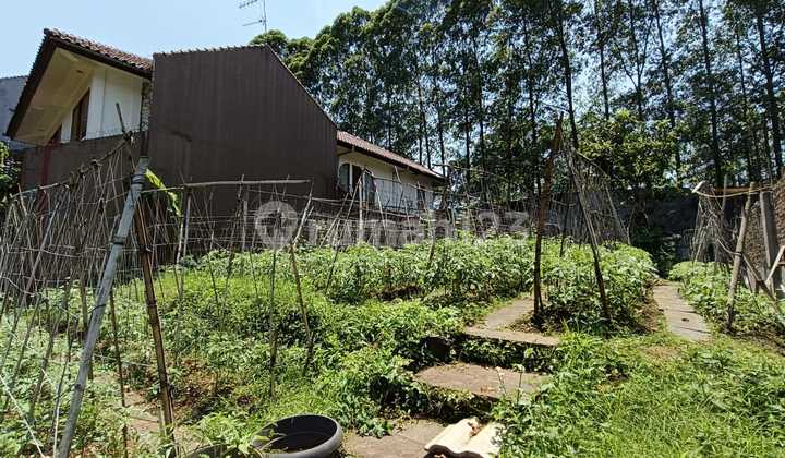 tanah kavling lokasi strategis di setra duta