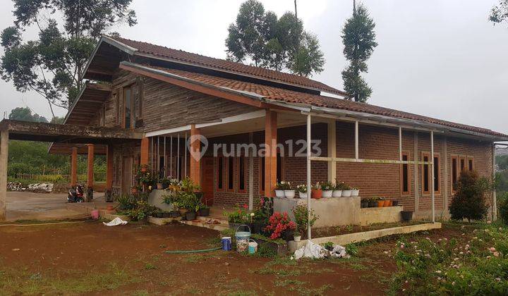 For Sale Tanah Kebun Dan Villa Area Situ Cileunca 2