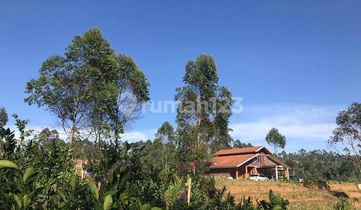 For Sale Tanah Kebun Dan Villa Area Situ Cileunca 4