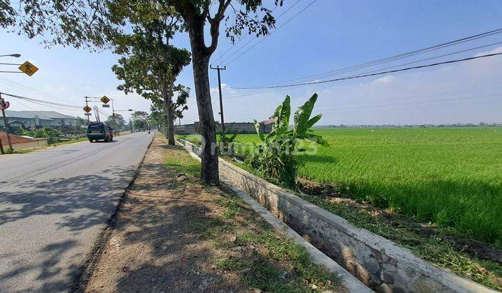 Dijual Tanah Masih Berupa Sawah Lokasi di Soreang Cipatik 1