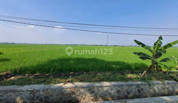 Dijual Tanah Masih Berupa Sawah Lokasi di Soreang Cipatik 2