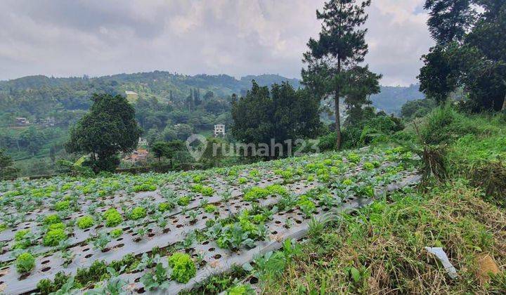 Dijual Kavling di Pagerwangi Lokasi Strategis Siap Bangunan 2