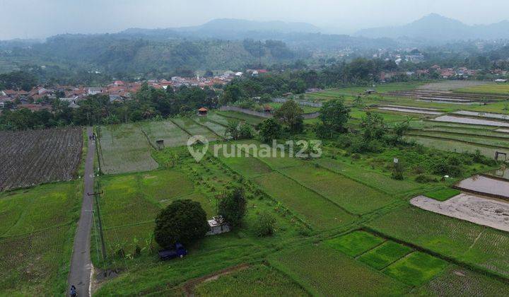 Dijual Tanah Sawah/ Persawahan 8000m² Di Pamijahan Bogor.  2