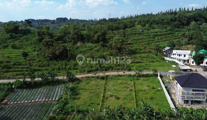 Dijual Tanah Potensial Prospek, Pingir Jl Ry Alternatif Menuju Puncak, Cipayung Datar Bogor, Harga Menarik! 2