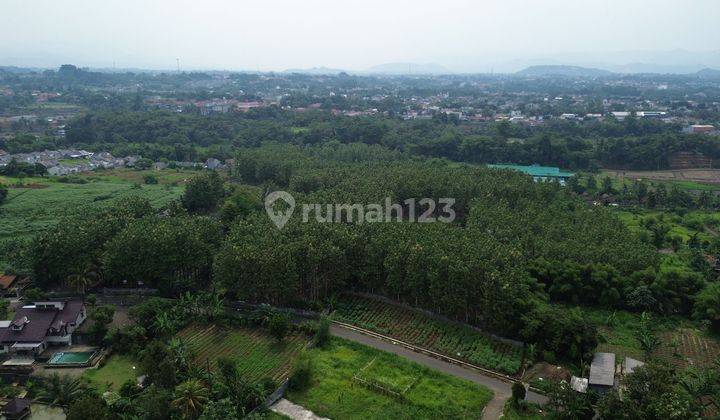 Dijual Tanah Potensial Prospek 4,5ha  Jl Tegalwaru Ciampea Bogor.  2