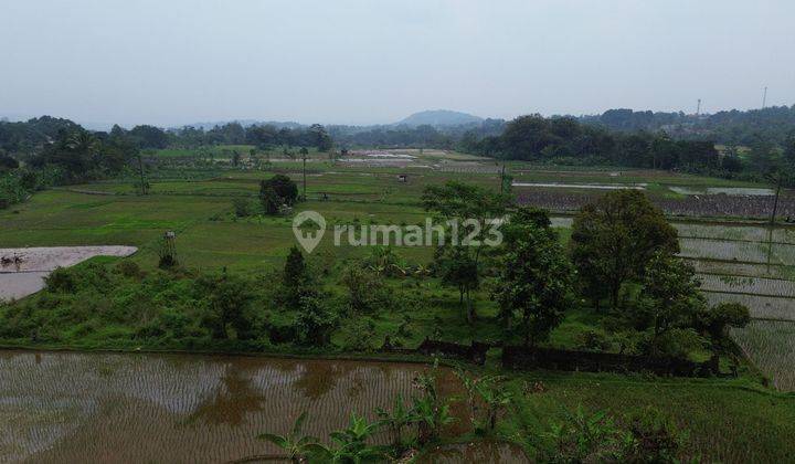 Dijual Tanah Sawah/ Persawahan 8000m Gn Sari Pamijahan Bogor.  2